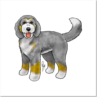 Dog - Bernadoodle - Tricolor Gray and Brown Posters and Art